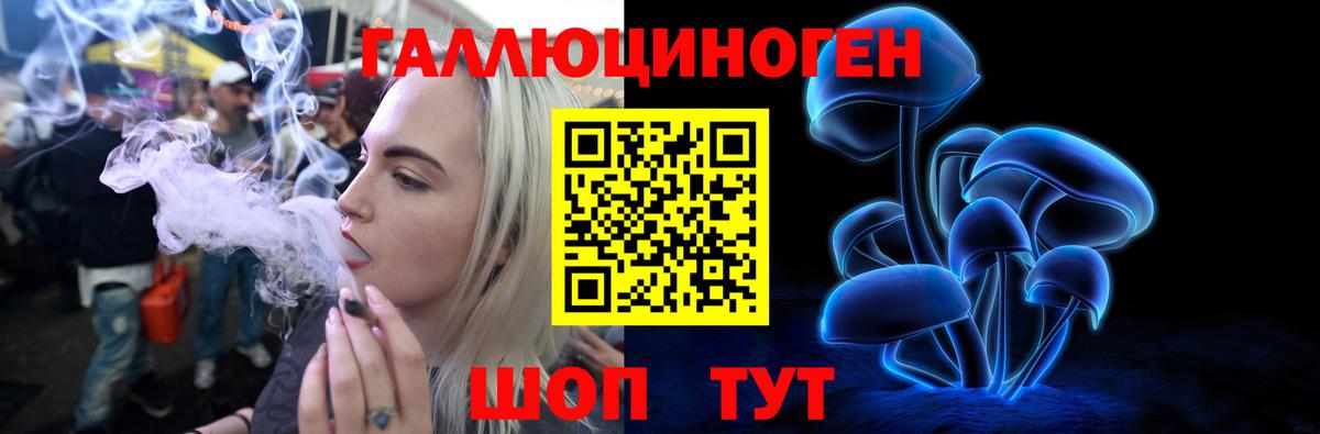Ялуторовск  Галлюциногенные грибы Psilocybe  Вход с VPN 